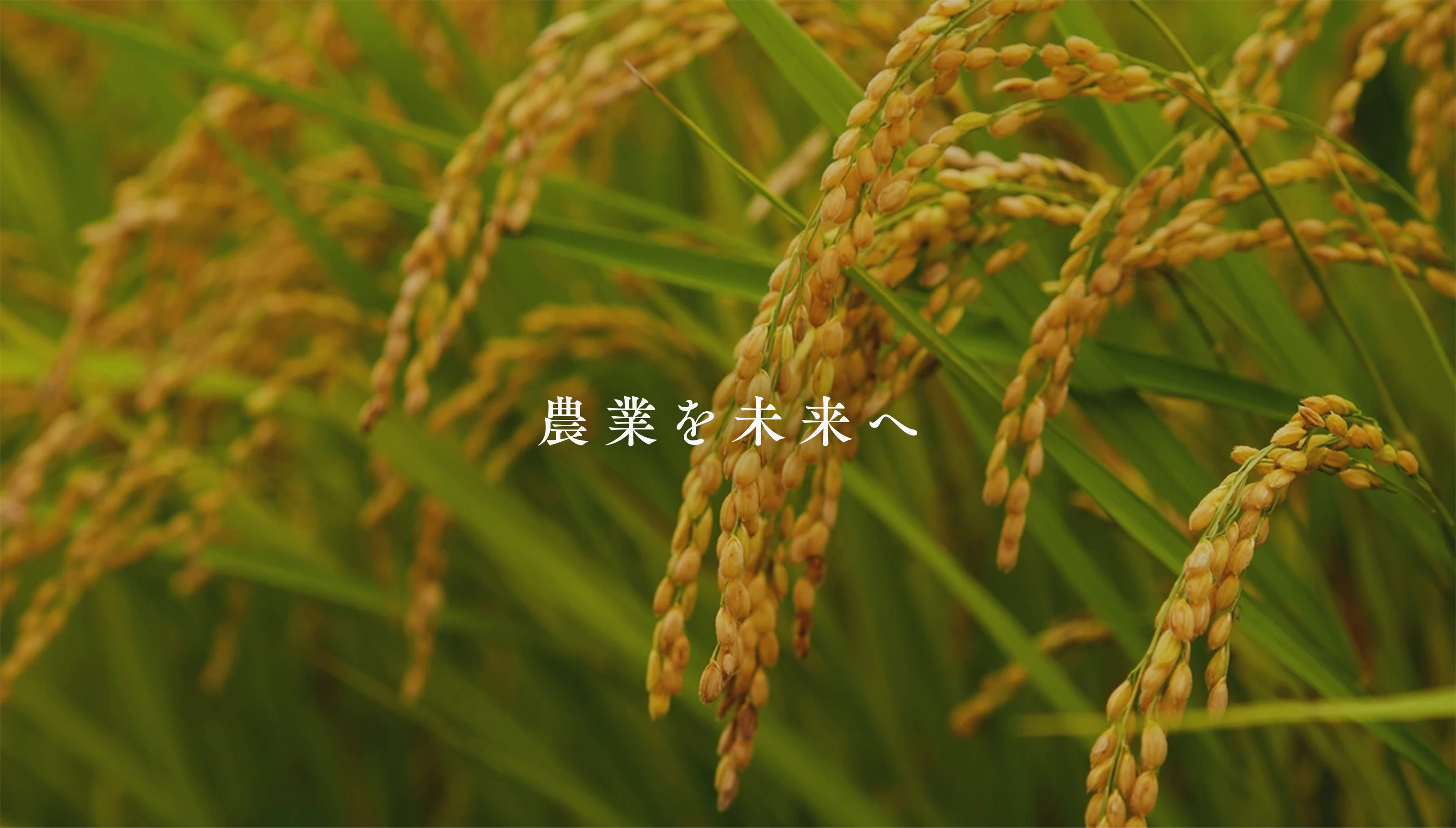 メインビジュアル