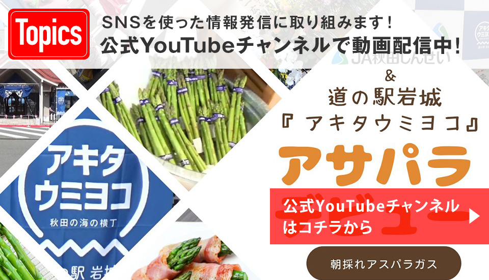 公式YouTubeチャンネルで動画配信中！